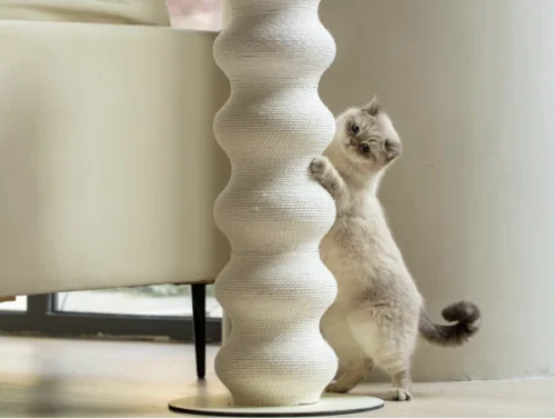 08_Colossal Curvy Clawer_06
