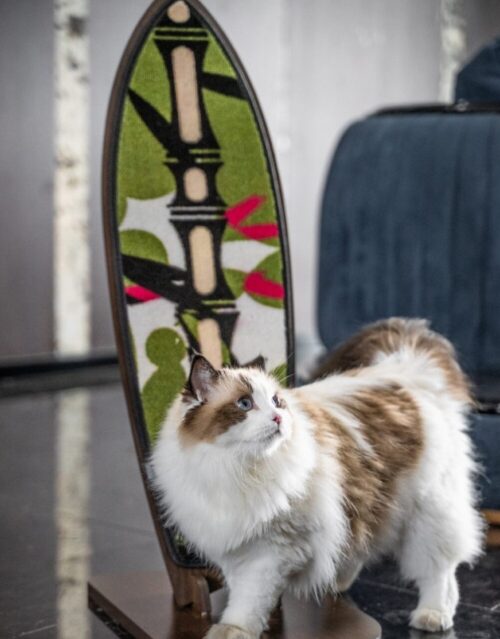 cat scratcher