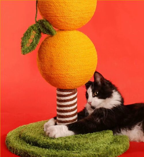 cat scratcher