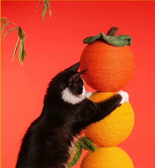 cat scratcher